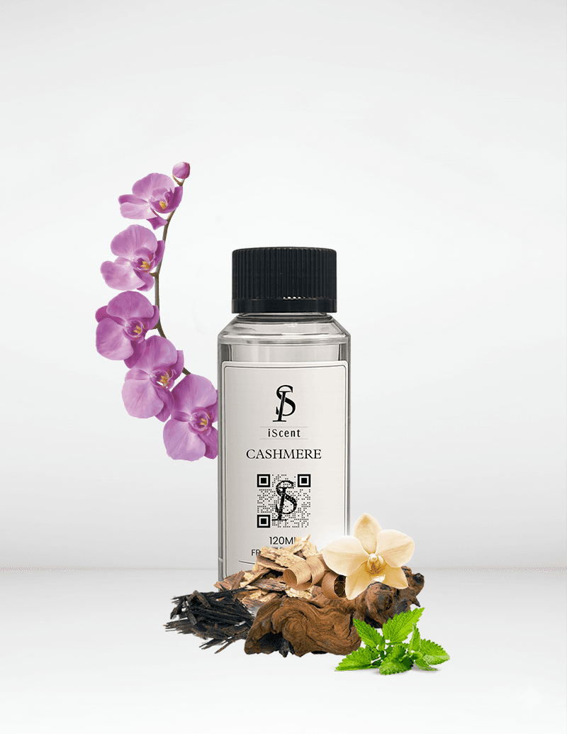 Cashmere Fragrance Oil